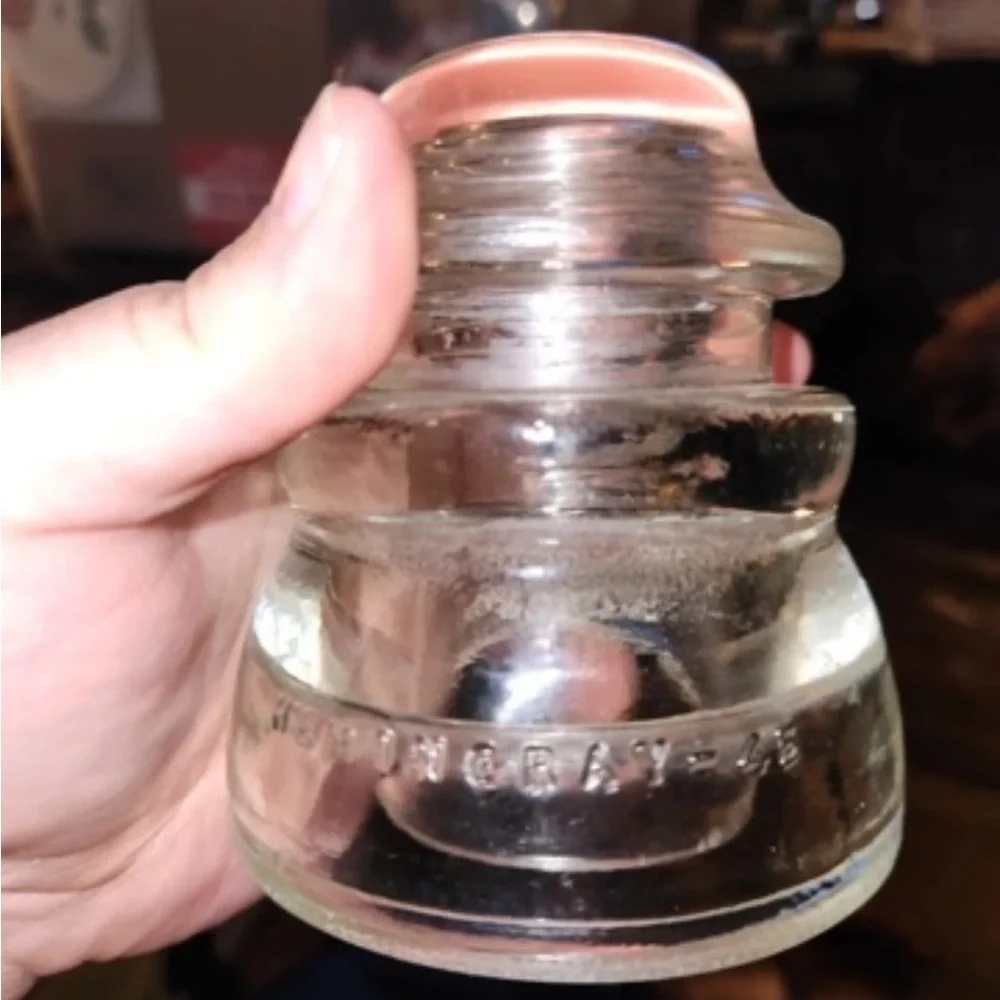 Clear Glass Dog Bowl Insert – Transparent